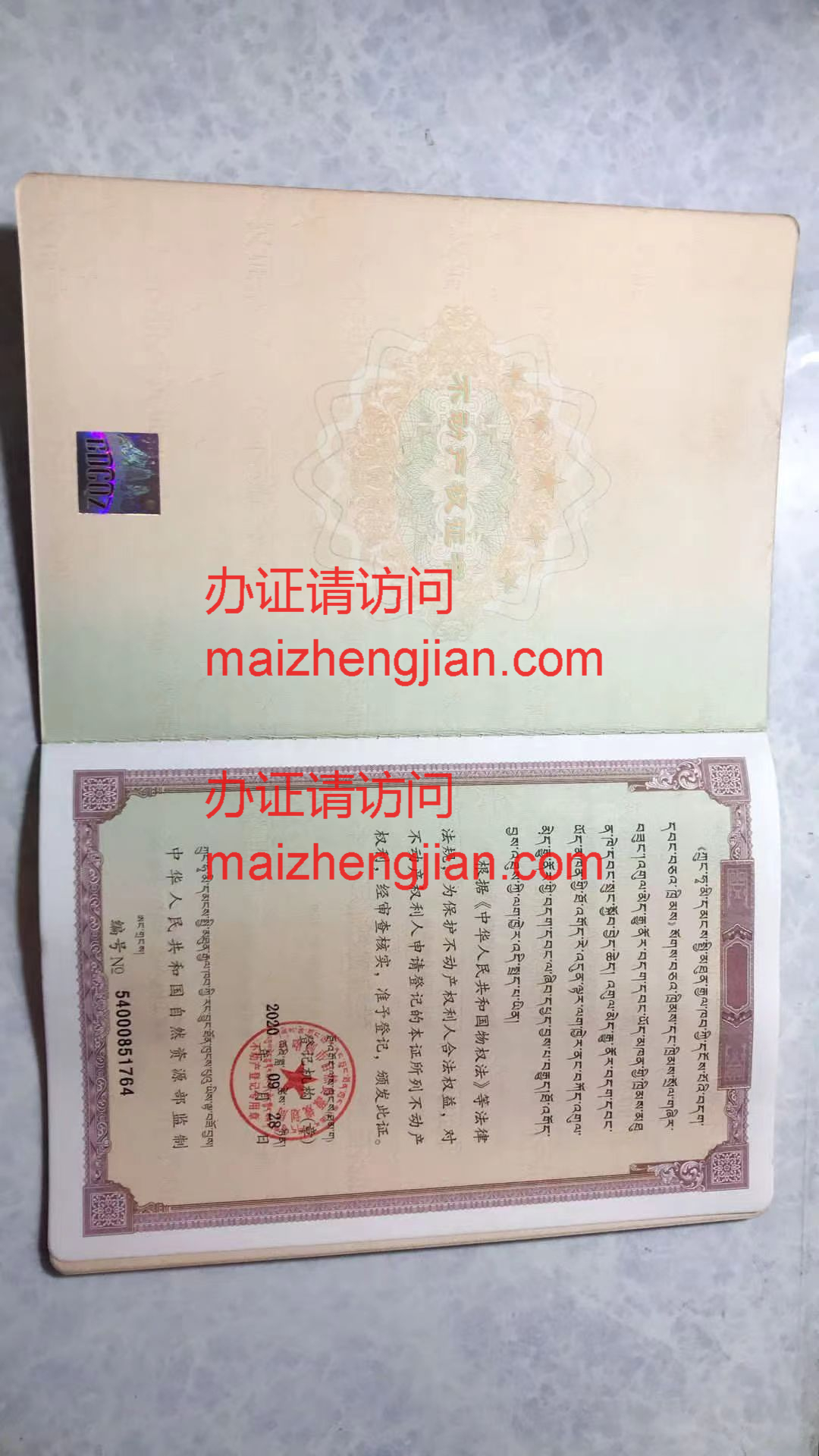 不动产权证内页3样本