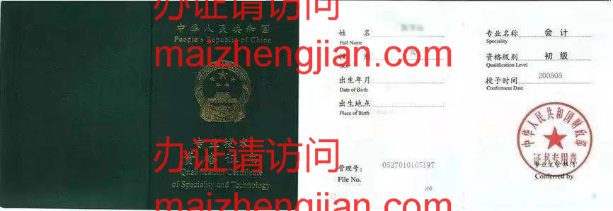 专业技术资格证书(2)样本