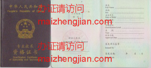 专业技术资格证样本